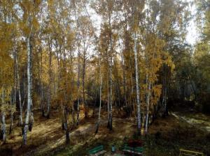 Фотография Капитель 5