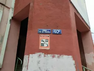 Фотография Аконит 0